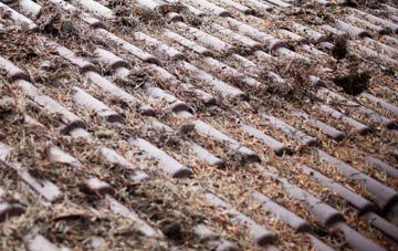 Wallsend roof cleaning companies